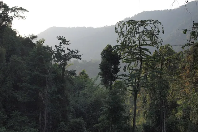 ที่ทำการอุทยานแห่งชาติเขาสก